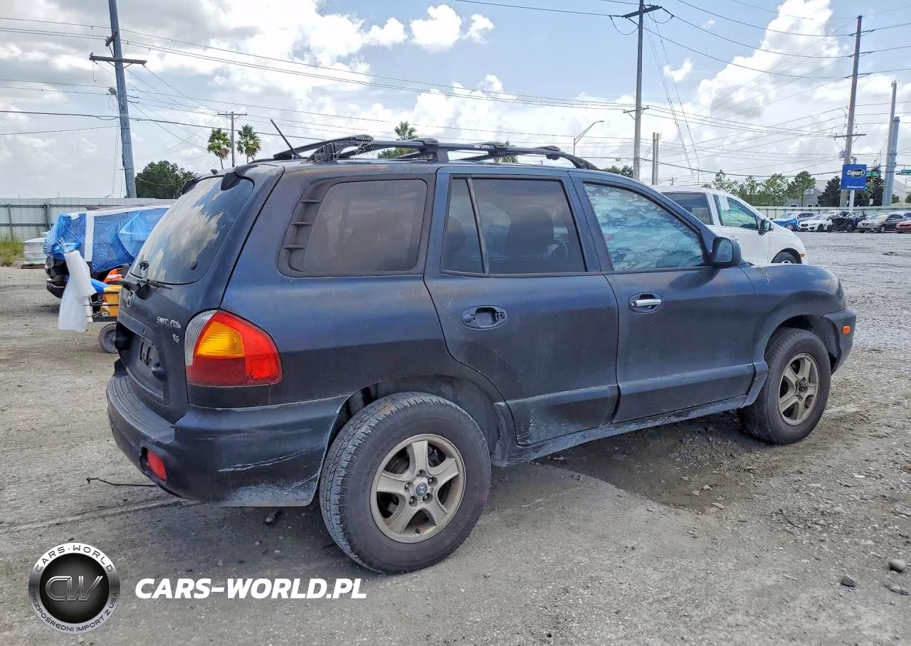 2004 Hyundai Santa Fe Gls VIN:KM8SC13D84U745755 - 3