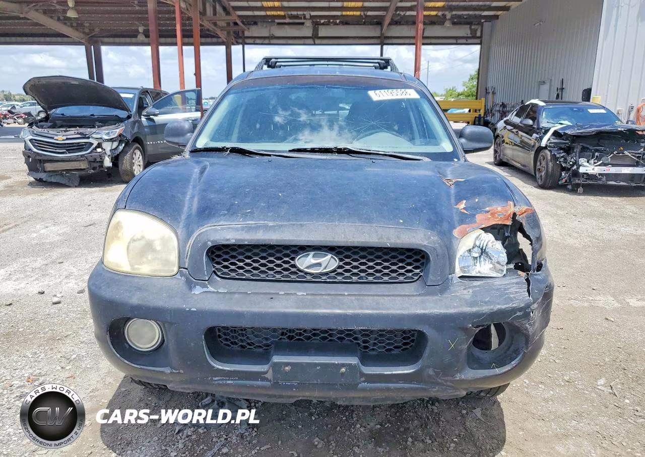2004 Hyundai Santa Fe Gls VIN:KM8SC13D84U745755 - 5