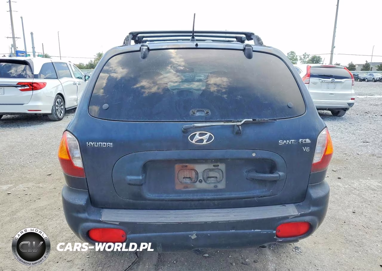 2004 Hyundai Santa Fe Gls VIN:KM8SC13D84U745755 - 6
