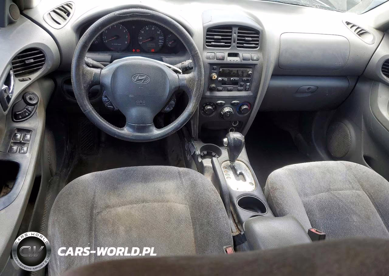 2004 Hyundai Santa Fe Gls VIN:KM8SC13D84U745755 - 8