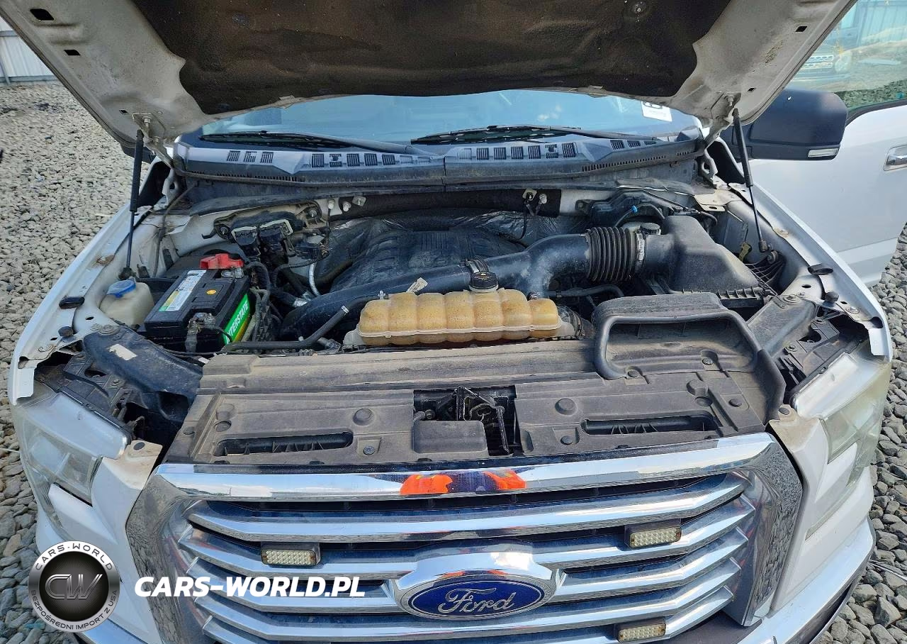 2016 Ford F150 Supercrew VIN:1FTEW1EGXGFC13108 - 11