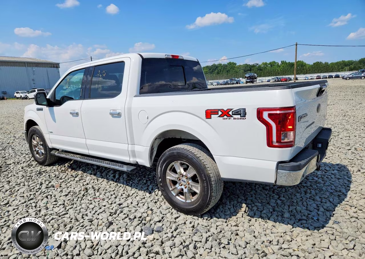 2016 Ford F150 Supercrew VIN:1FTEW1EGXGFC13108 - 2