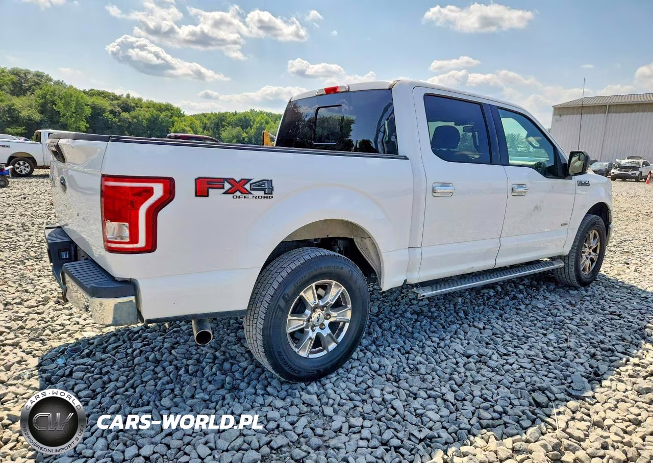 2016 Ford F150 Supercrew VIN:1FTEW1EGXGFC13108 - 3