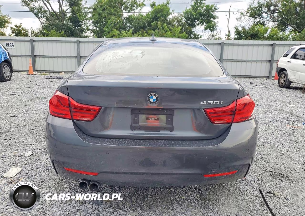 2019 BMW 430I Gran Coupe VIN:WBA4J1C55KBM16321 - 6