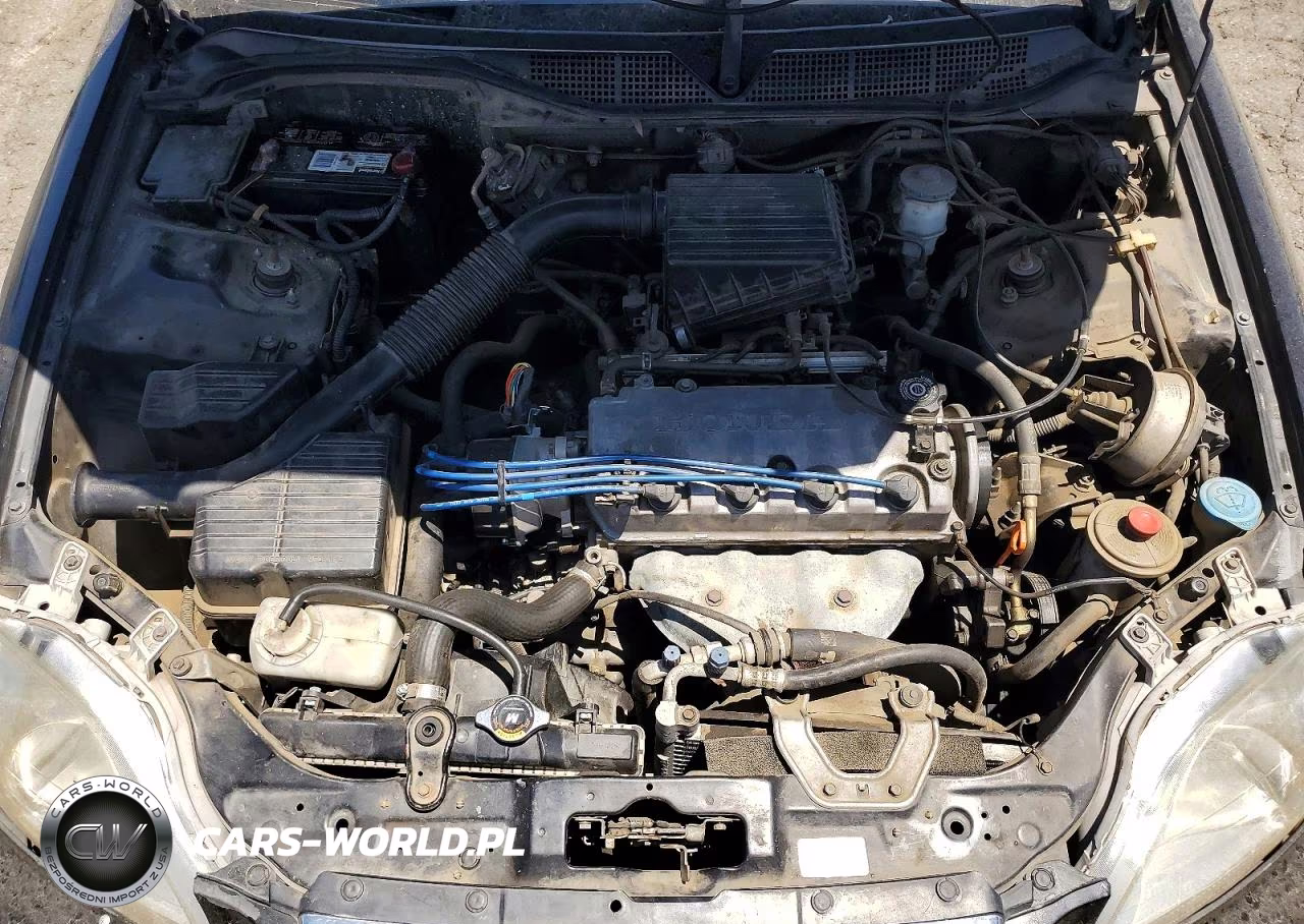 1997 Honda Civic Lx VIN:2HGEJ6676VH574925 - 11