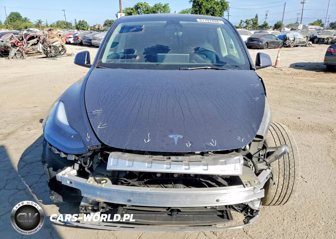 2023 Tesla Model Y VIN:7SAYGDEE3PF909584 - 5
