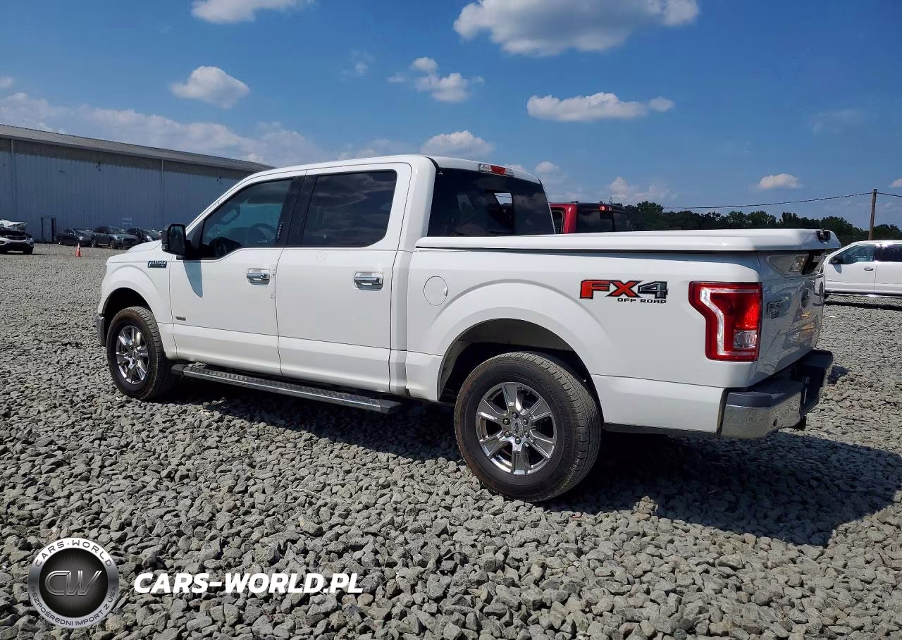 2016 Ford F150 Supercrew VIN:1FTEW1EG6GFB23843 - 2