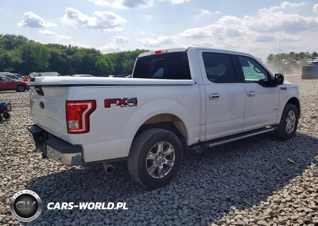 2016 Ford F150 Supercrew VIN:1FTEW1EG6GFB23843 - 3