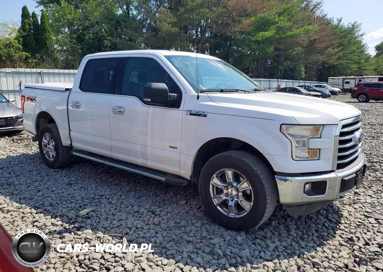 2016 Ford F150 Supercrew VIN:1FTEW1EG6GFB23843 - 4