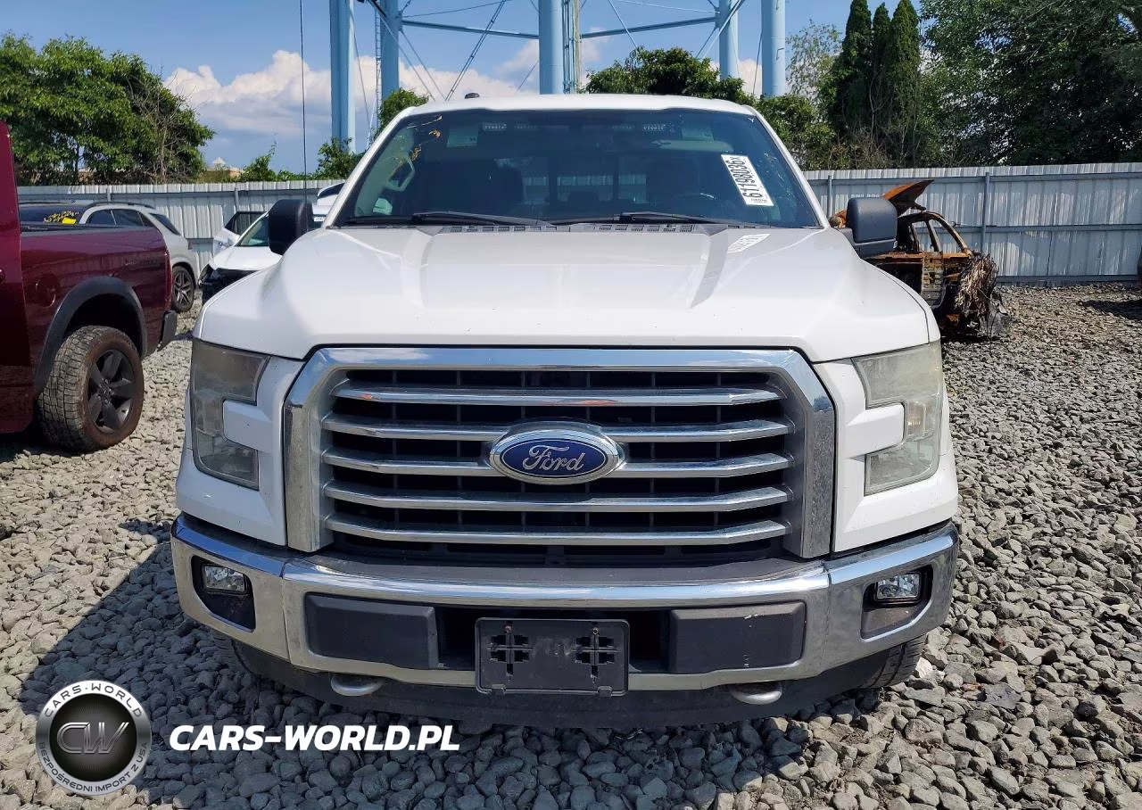 2016 Ford F150 Supercrew VIN:1FTEW1EG6GFB23843 - 5