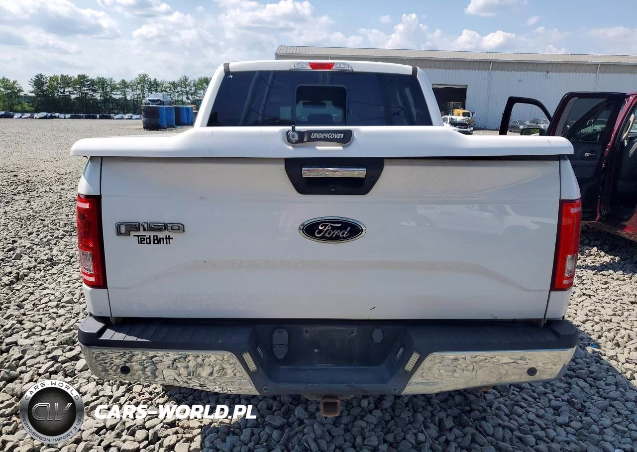2016 Ford F150 Supercrew VIN:1FTEW1EG6GFB23843 - 6
