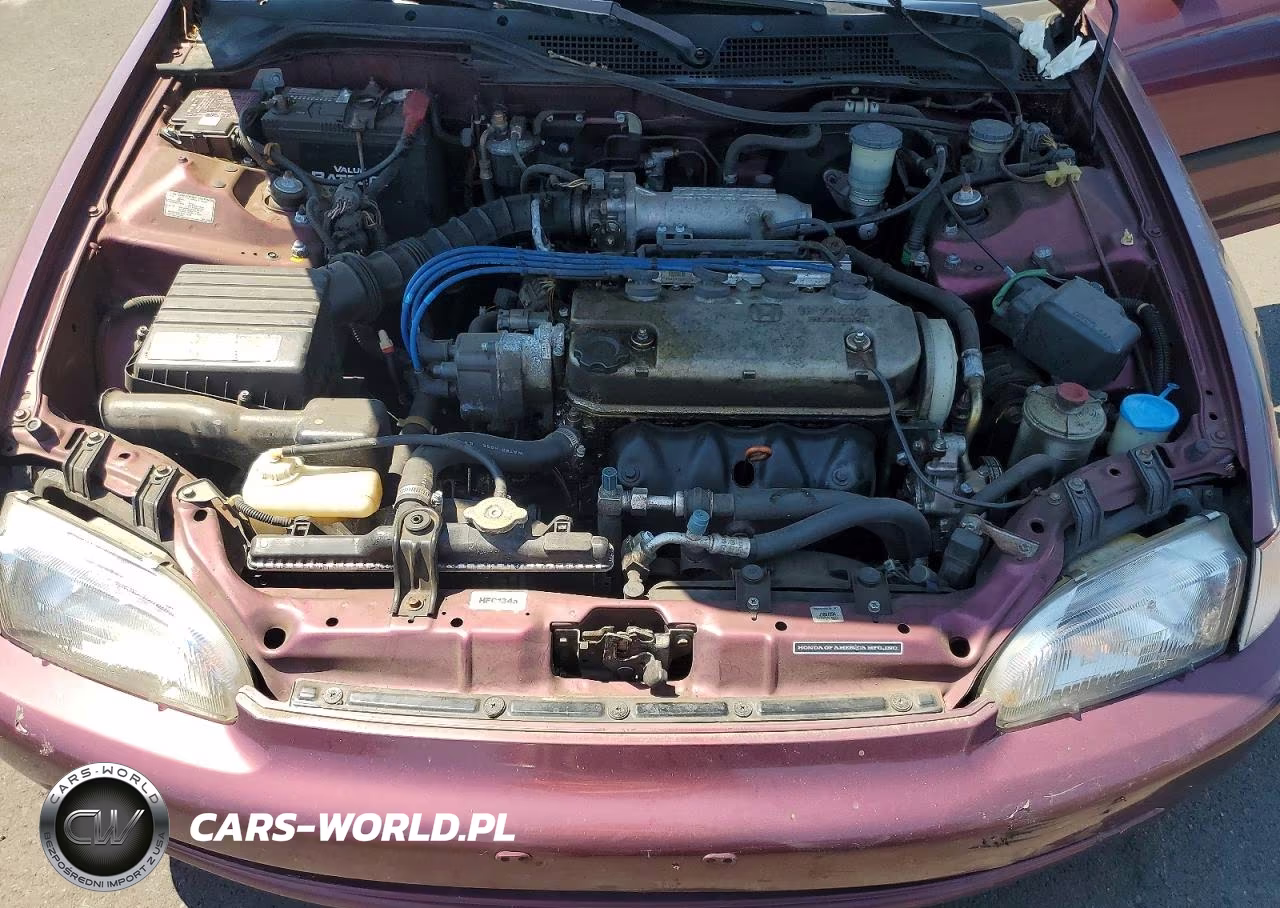 1994 Honda Civic Lx VIN:1HGEG8558RL006307 - 11