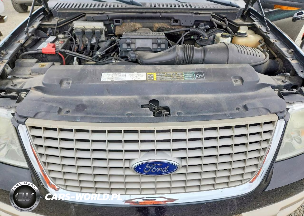 2005 Ford Expedition Eddie Bauer VIN:1FMFU18515LA10784 - 12