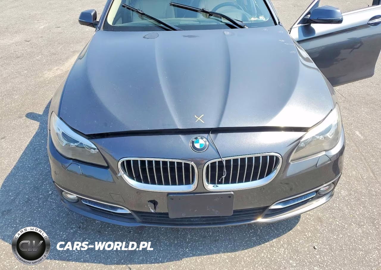 2016 BMW 528 Xi VIN:WBA5A7C52GG643628 - 11