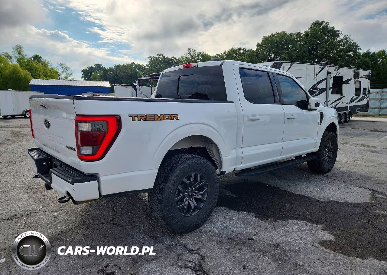 2021 Ford F150 Supercrew VIN:1FTEW1E84MFC31088 - 3