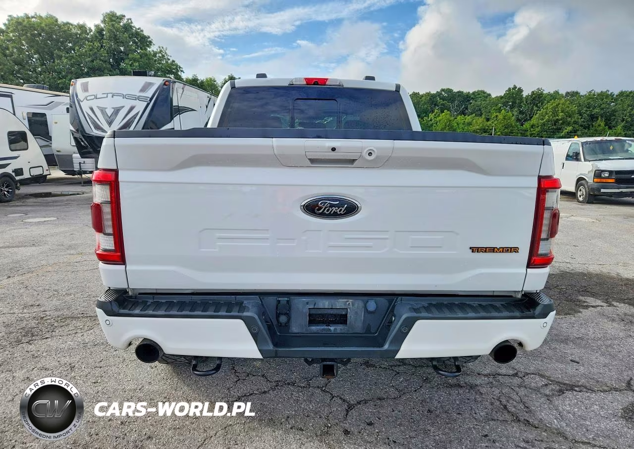 2021 Ford F150 Supercrew VIN:1FTEW1E84MFC31088 - 6
