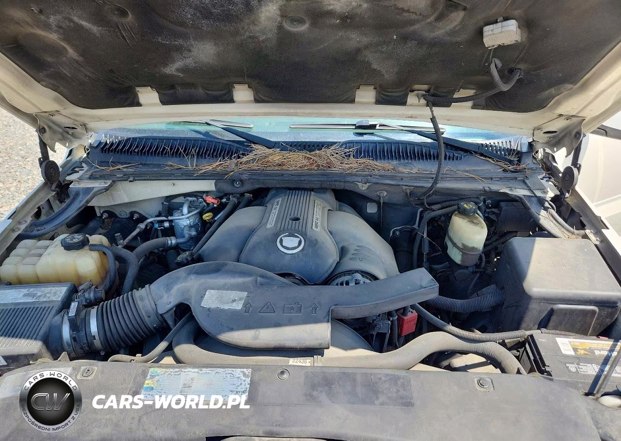 2002 Cadillac Escalade Luxury VIN:1GYEK63N82R297876 - 12