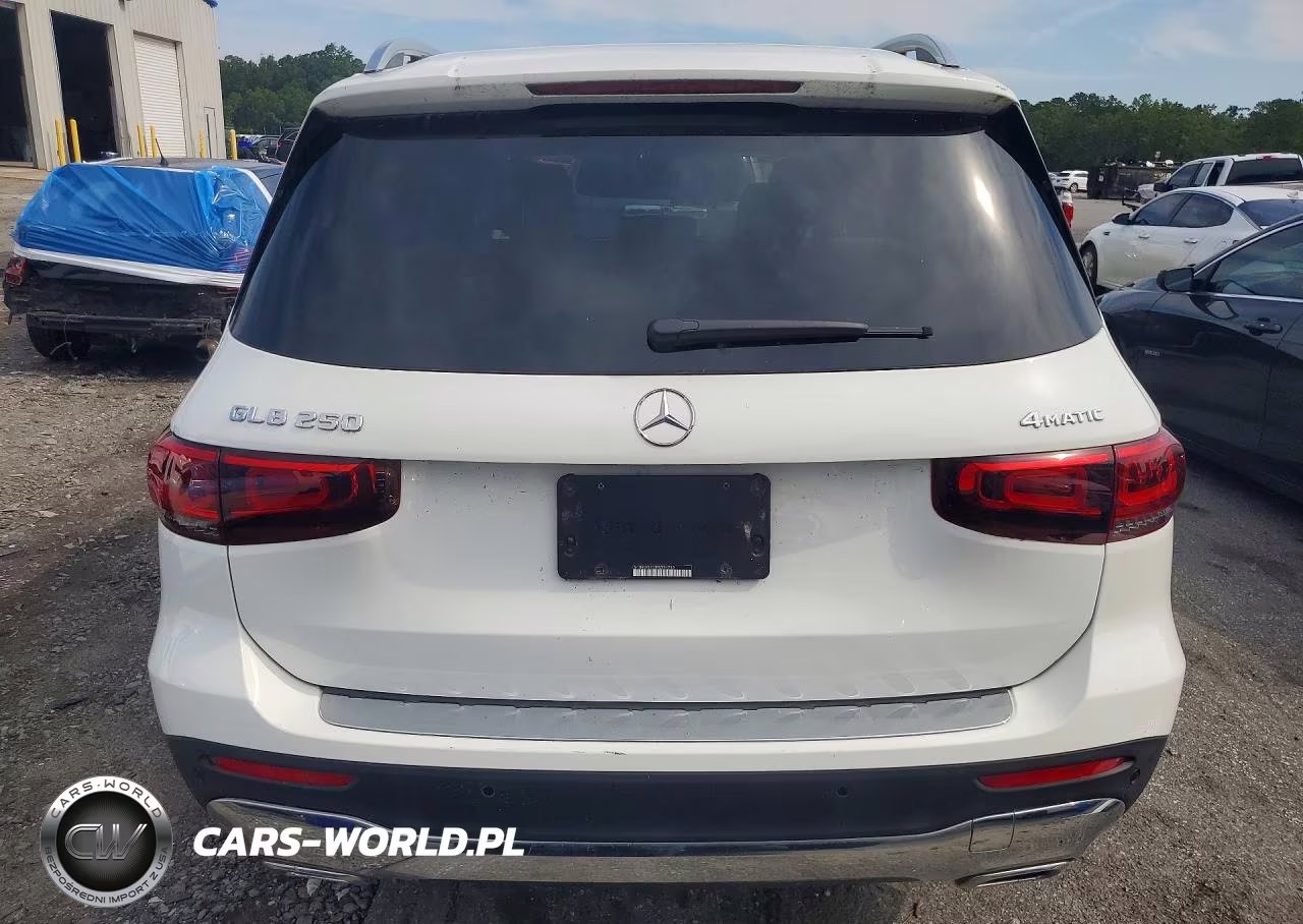 2023 Mercedes-Benz Glb 250 4Matic VIN:W1N4M4HB1PW291790 - 6