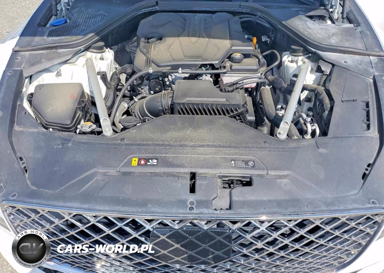 2023 Genesis G80 2.5T VIN:KMTGB4SC9PU153018 - 11