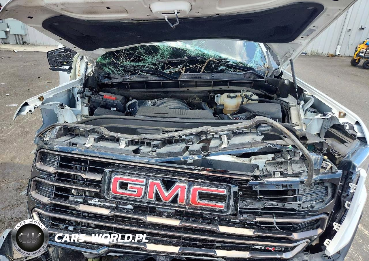 2023 GMC Sierra K1500 At4X VIN:3GTUUFEL7PG343695 - 11