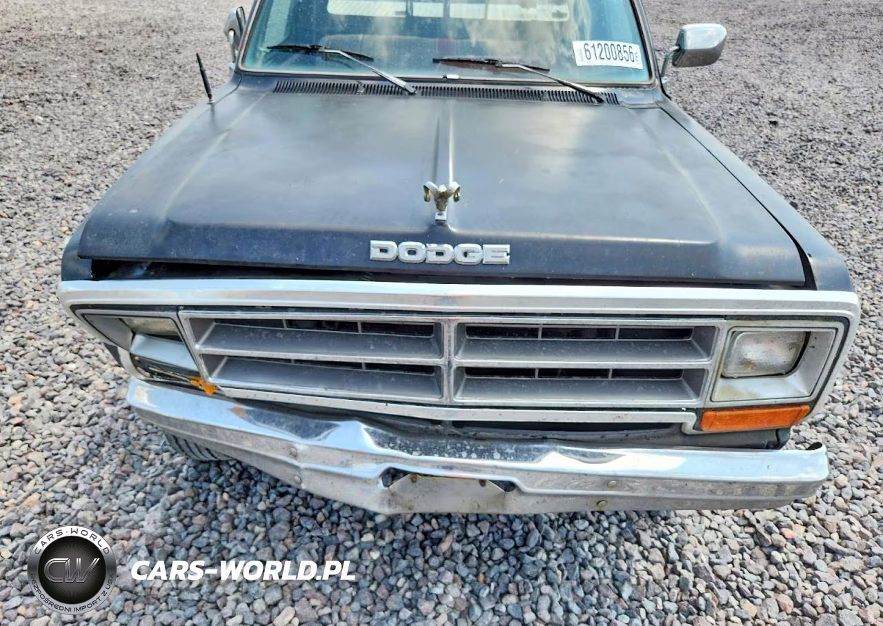 1989 Dodge W-Series W100 VIN:1B7HM06Y7KS105548 - 11
