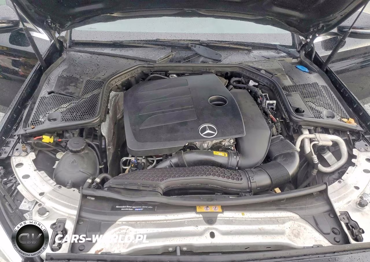 2019 Mercedes-Benz C 300 VIN:55SWF8DB0KU294389 - 11