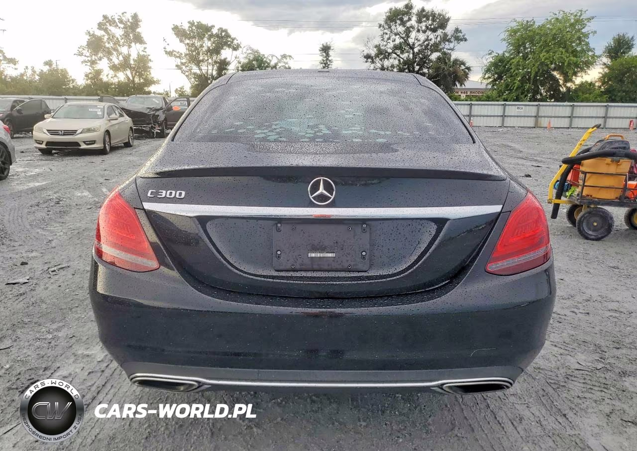 2019 Mercedes-Benz C 300 VIN:55SWF8DB0KU294389 - 6