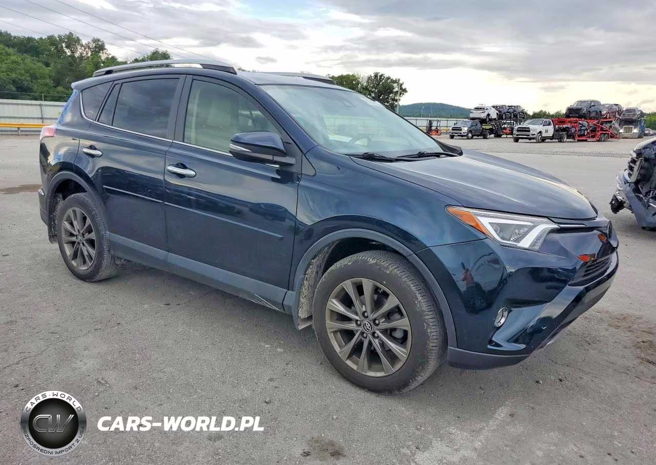 2018 Toyota Rav4 Limited VIN:JTMDFREV9JJ729280 - 4