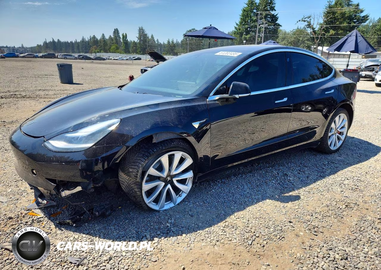 2019 Tesla Model 3 – zdjęcie 1 z 12