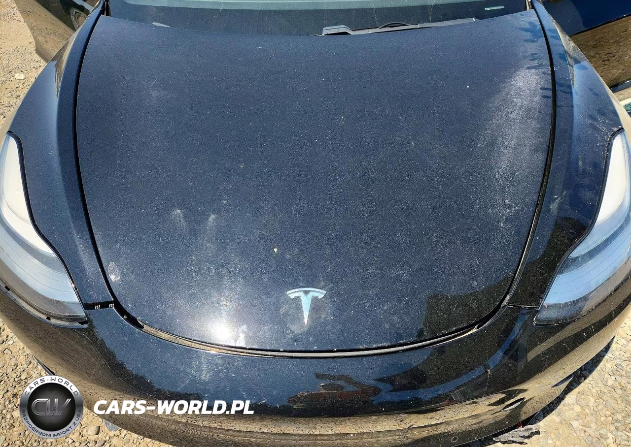 2019 Tesla Model 3 VIN:5YJ3E1EA8KF446570 - 11