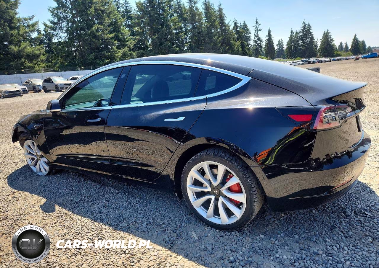 2019 Tesla Model 3 VIN:5YJ3E1EA8KF446570 - 2