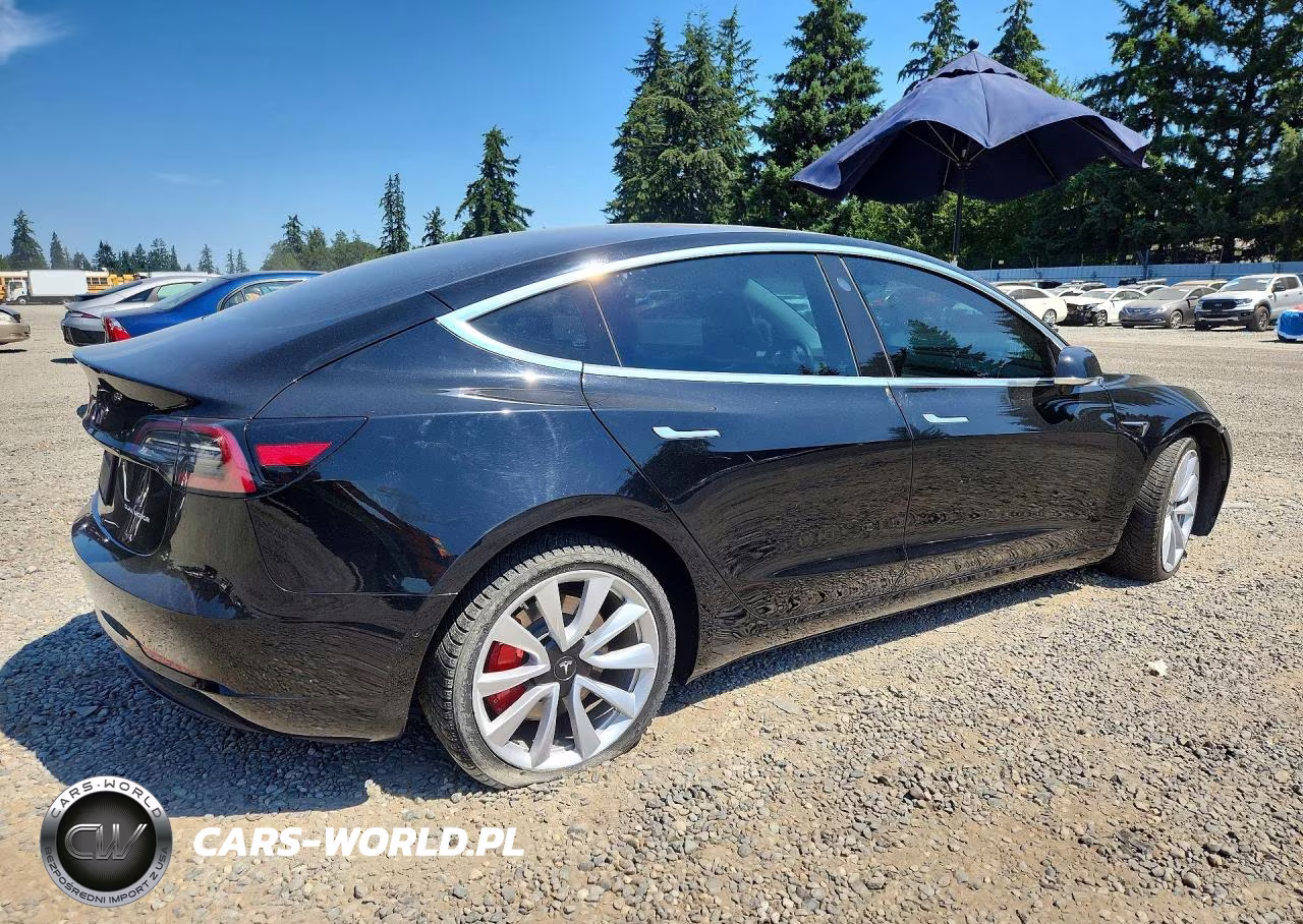 2019 Tesla Model 3 VIN:5YJ3E1EA8KF446570 - 3