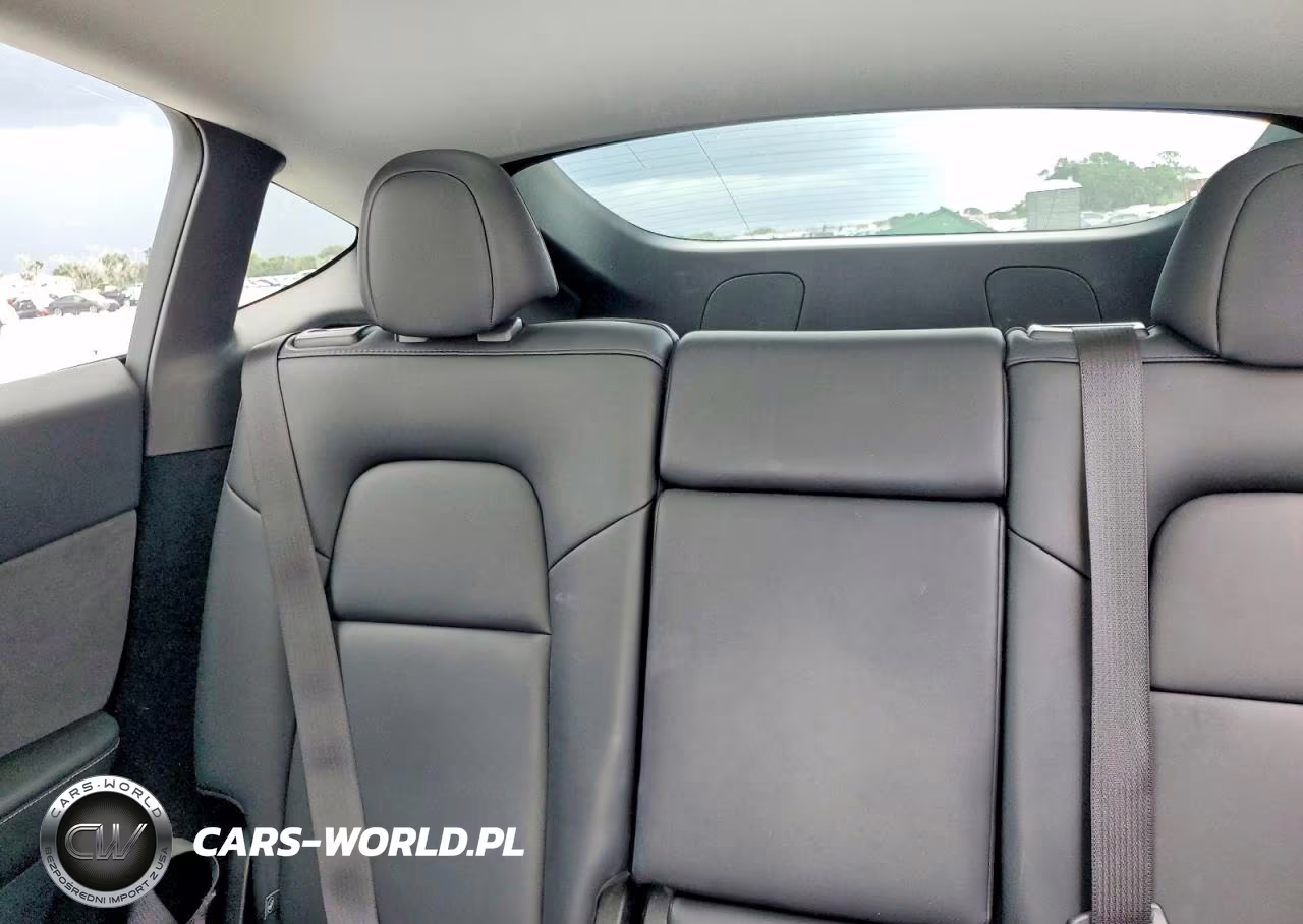 2024 Tesla Model Y VIN:7SAYGDED6RA326191 - 10