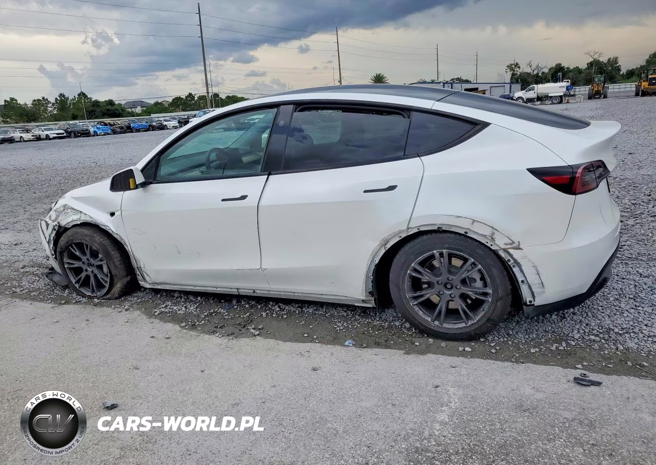 2024 Tesla Model Y VIN:7SAYGDED6RA326191 - 2