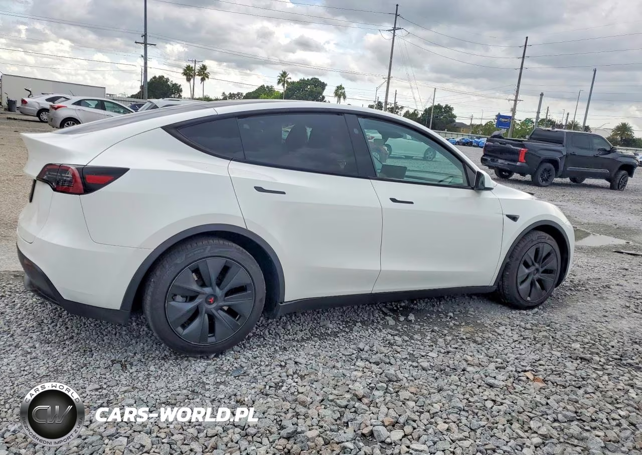 2024 Tesla Model Y VIN:7SAYGDED6RA326191 - 3
