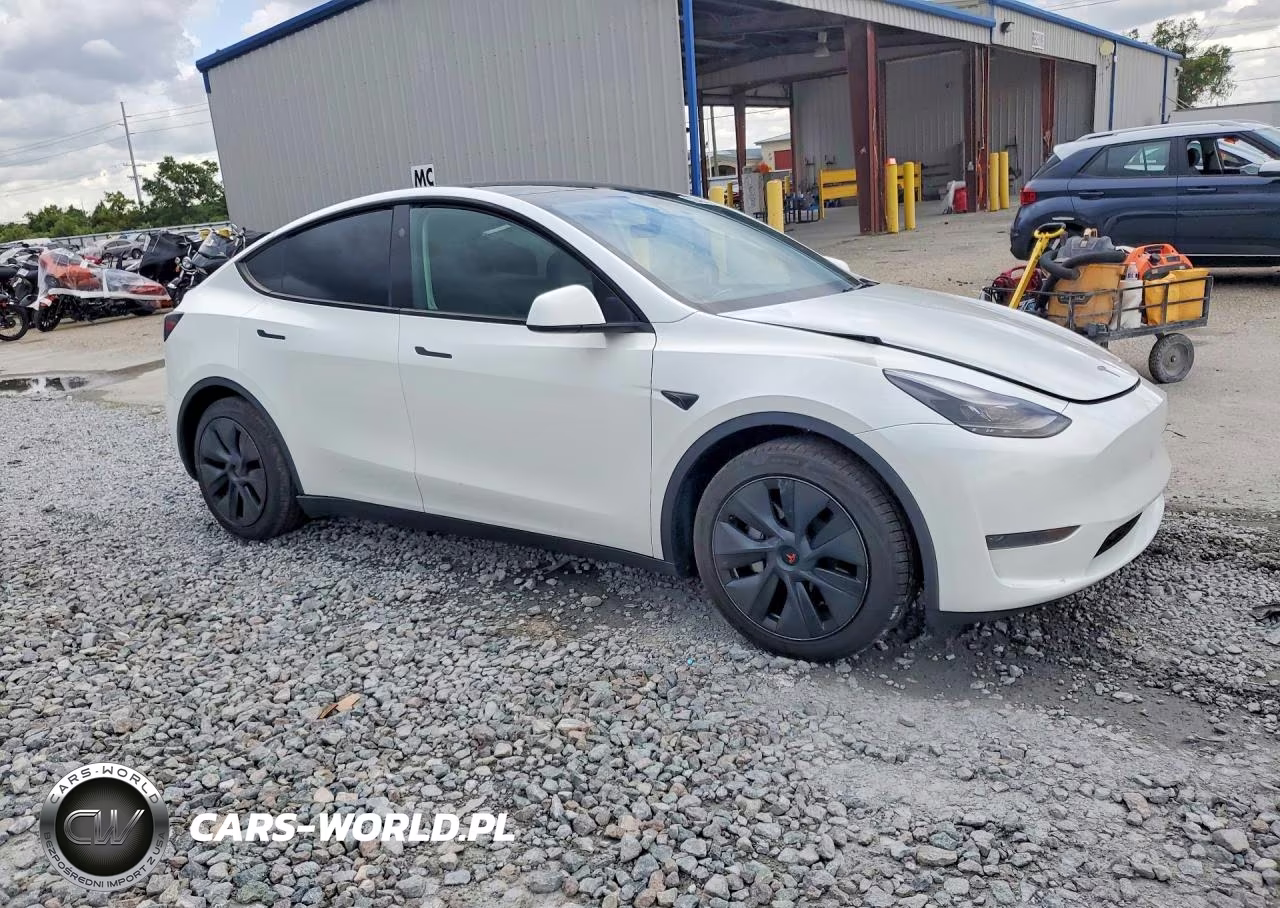 2024 Tesla Model Y VIN:7SAYGDED6RA326191 - 4
