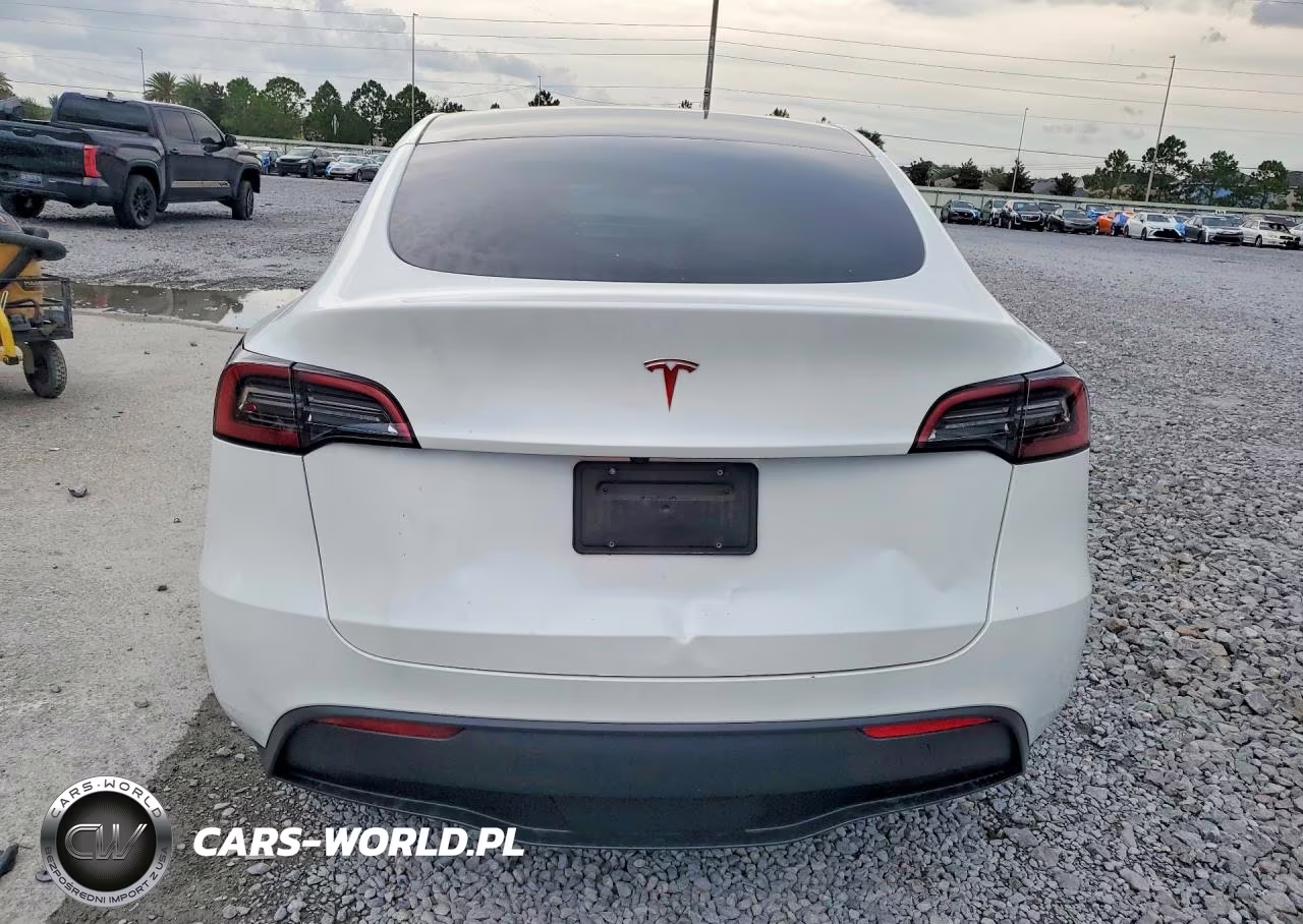 2024 Tesla Model Y VIN:7SAYGDED6RA326191 - 6