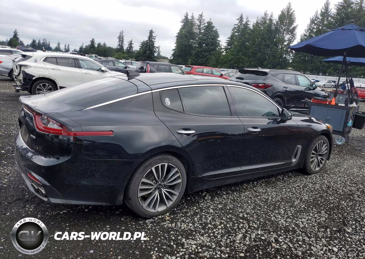 2018 Kia Stinger Premium VIN:KNAE25LA6J6035283 - 3