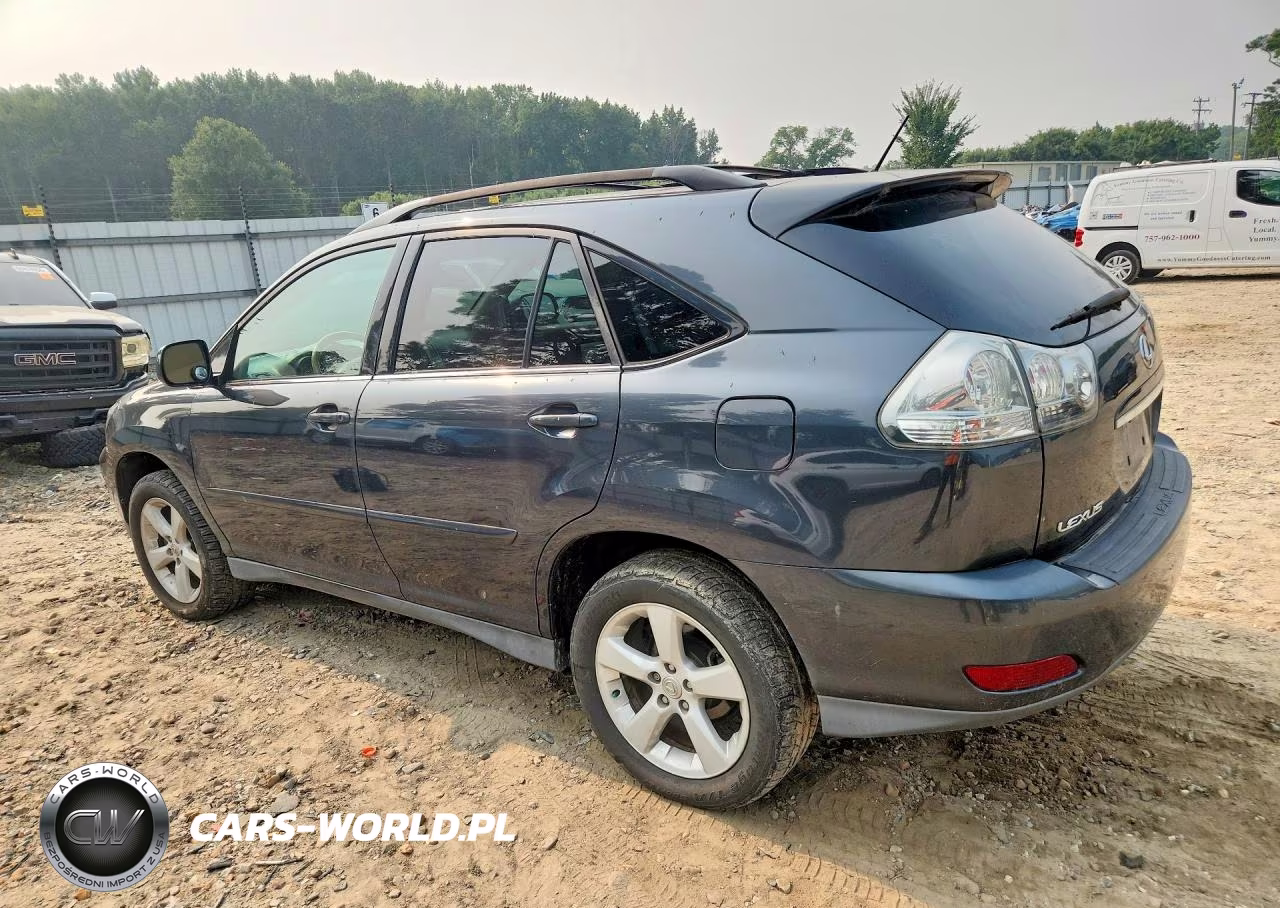 2004 Lexus Rx 330 VIN:2T2HA31U14C006447 - 2