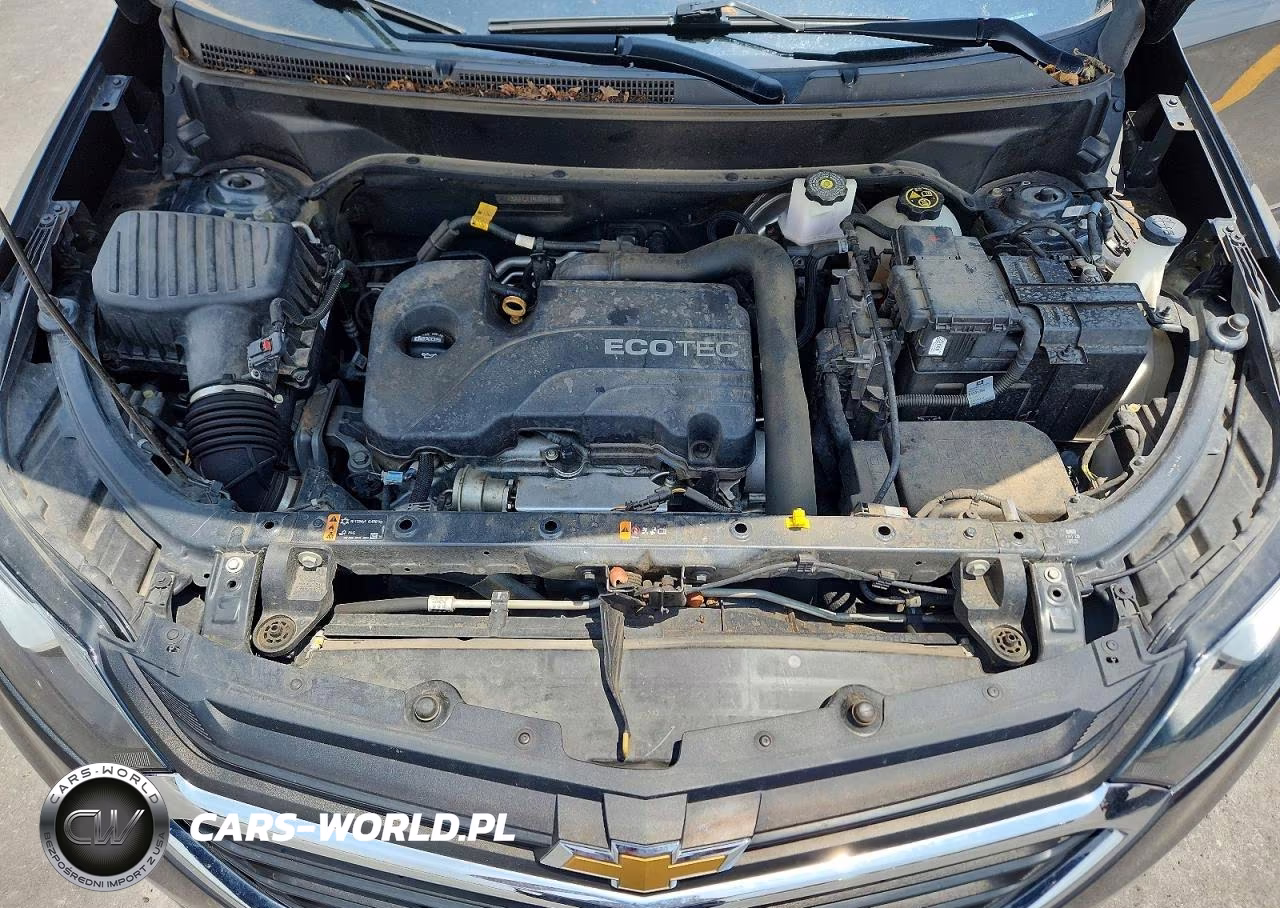 2020 Chevrolet Equinox Lt VIN:2GNAXJEV4L6241119 - 11