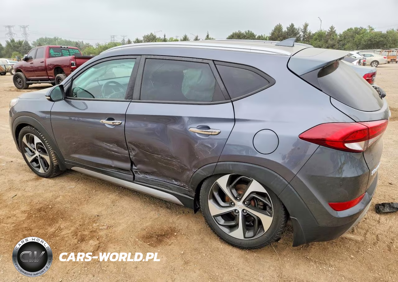 2017 Hyundai Tucson Limited VIN:KM8J3CA25HU364833 - 2