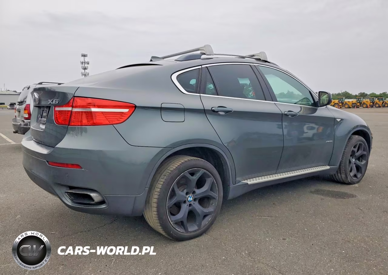 2010 BMW X6 xDrive50I VIN:5UXFG8C54ALZ94548 - 3
