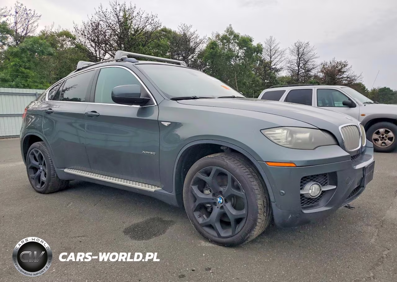 2010 BMW X6 xDrive50I VIN:5UXFG8C54ALZ94548 - 4