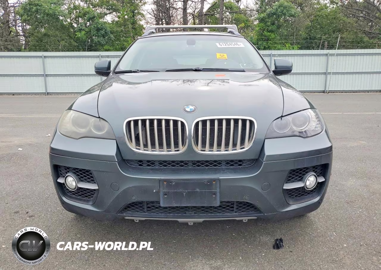 2010 BMW X6 xDrive50I VIN:5UXFG8C54ALZ94548 - 5