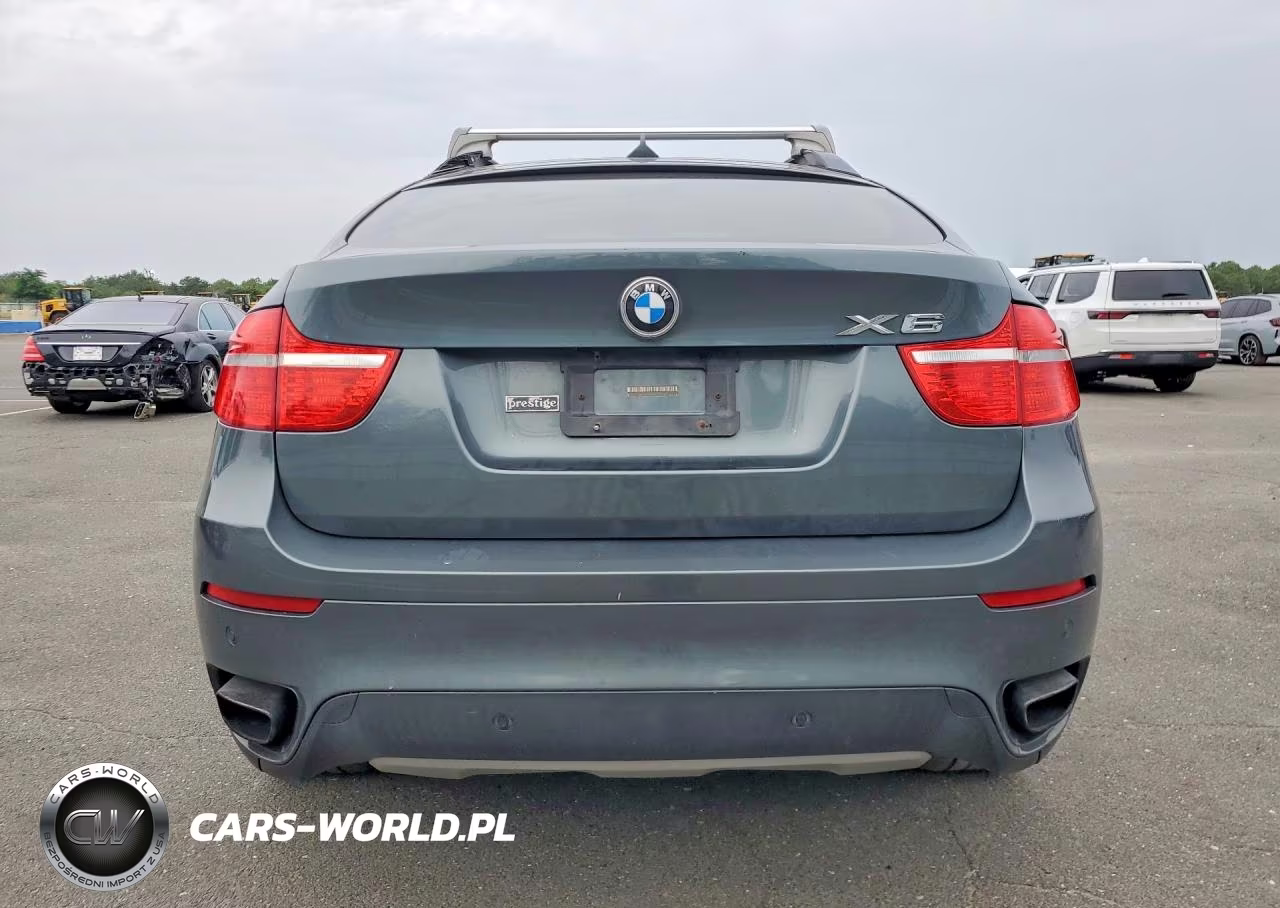 2010 BMW X6 xDrive50I VIN:5UXFG8C54ALZ94548 - 6