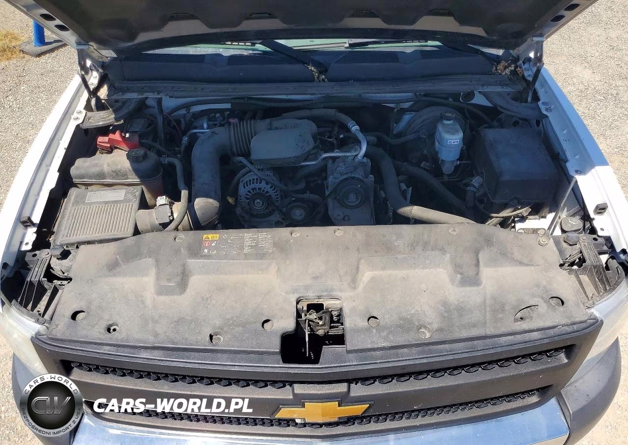 2012 Chevrolet Silverado C1500 VIN:1GCNCPEXXCZ324598 - 11
