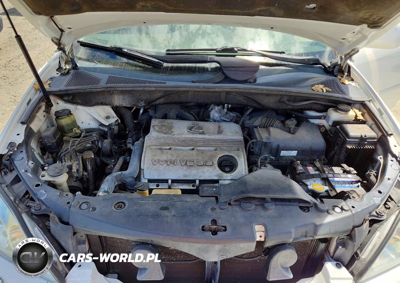 2006 Lexus Rx 330 VIN:2T2HA31U96C100109 - 12