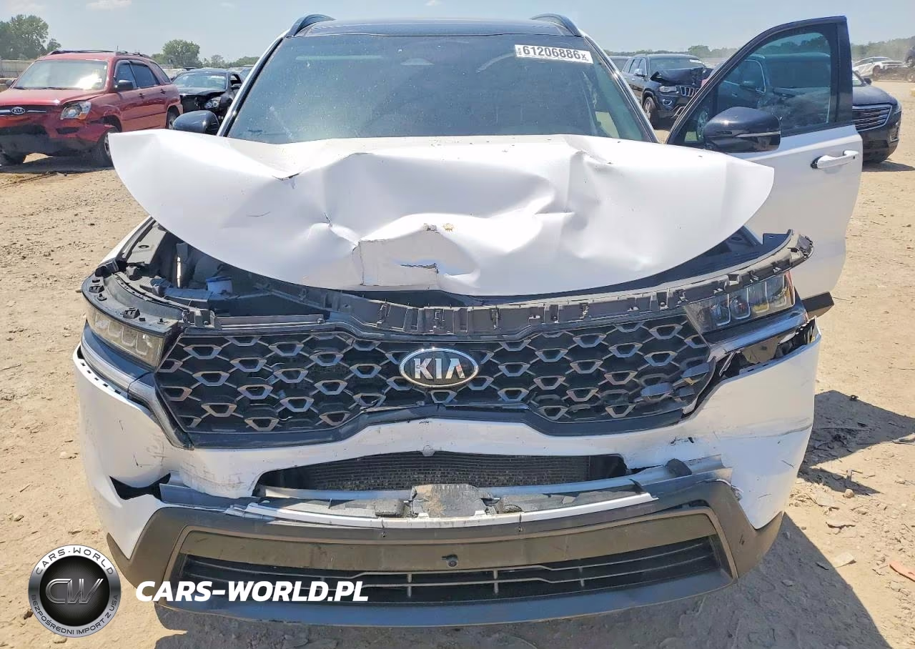2024 Kia Sorento S VIN:5XYRLDLC9MG070303 - 12