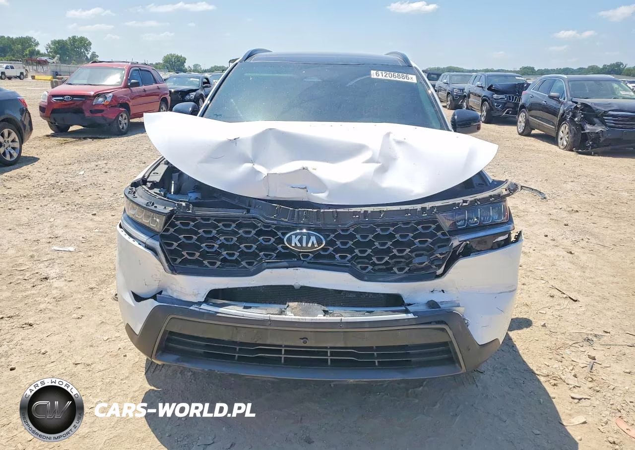 2024 Kia Sorento S VIN:5XYRLDLC9MG070303 - 5