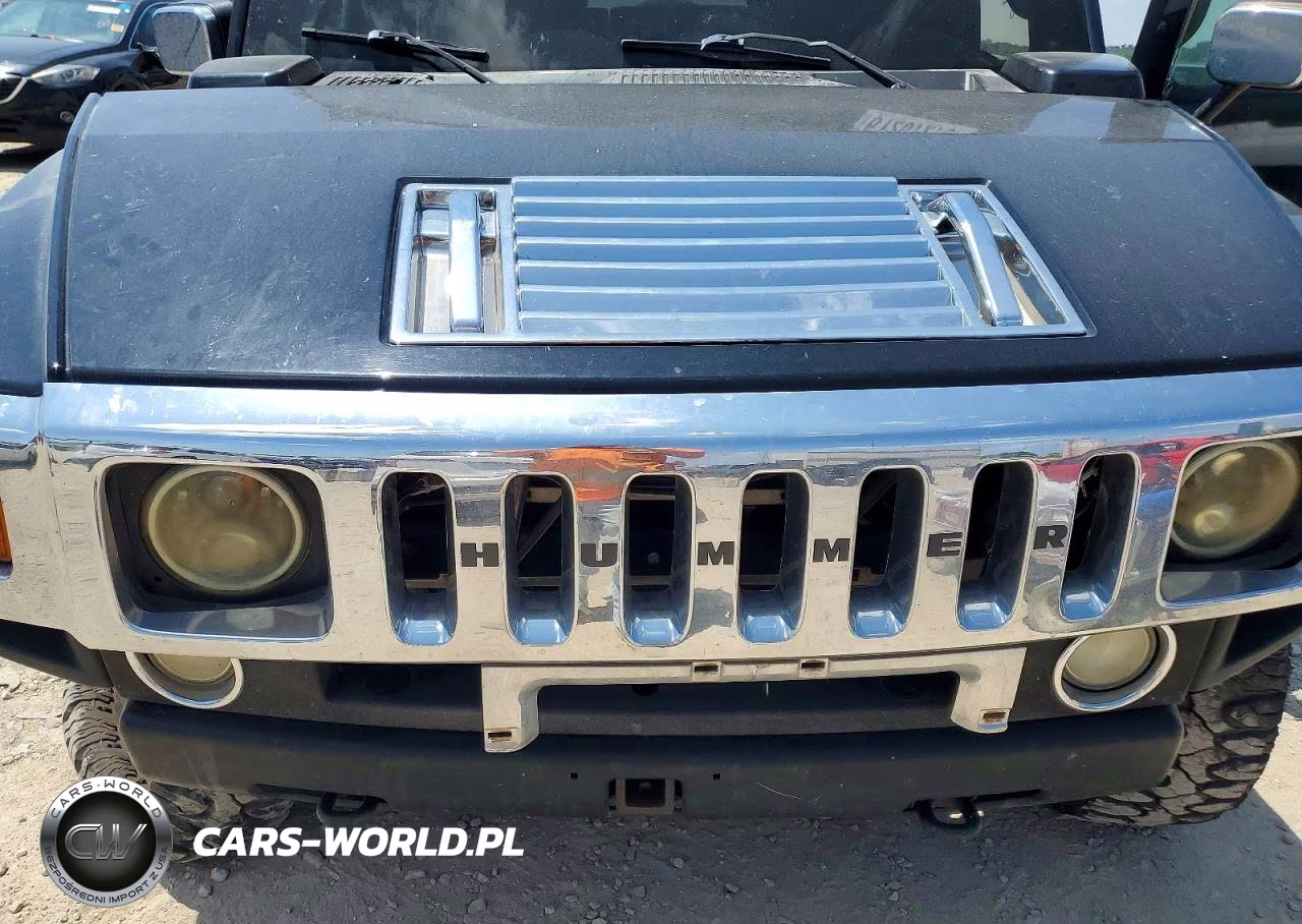 2003 Hummer H2 VIN:5GRGN23U43H133973 - 12
